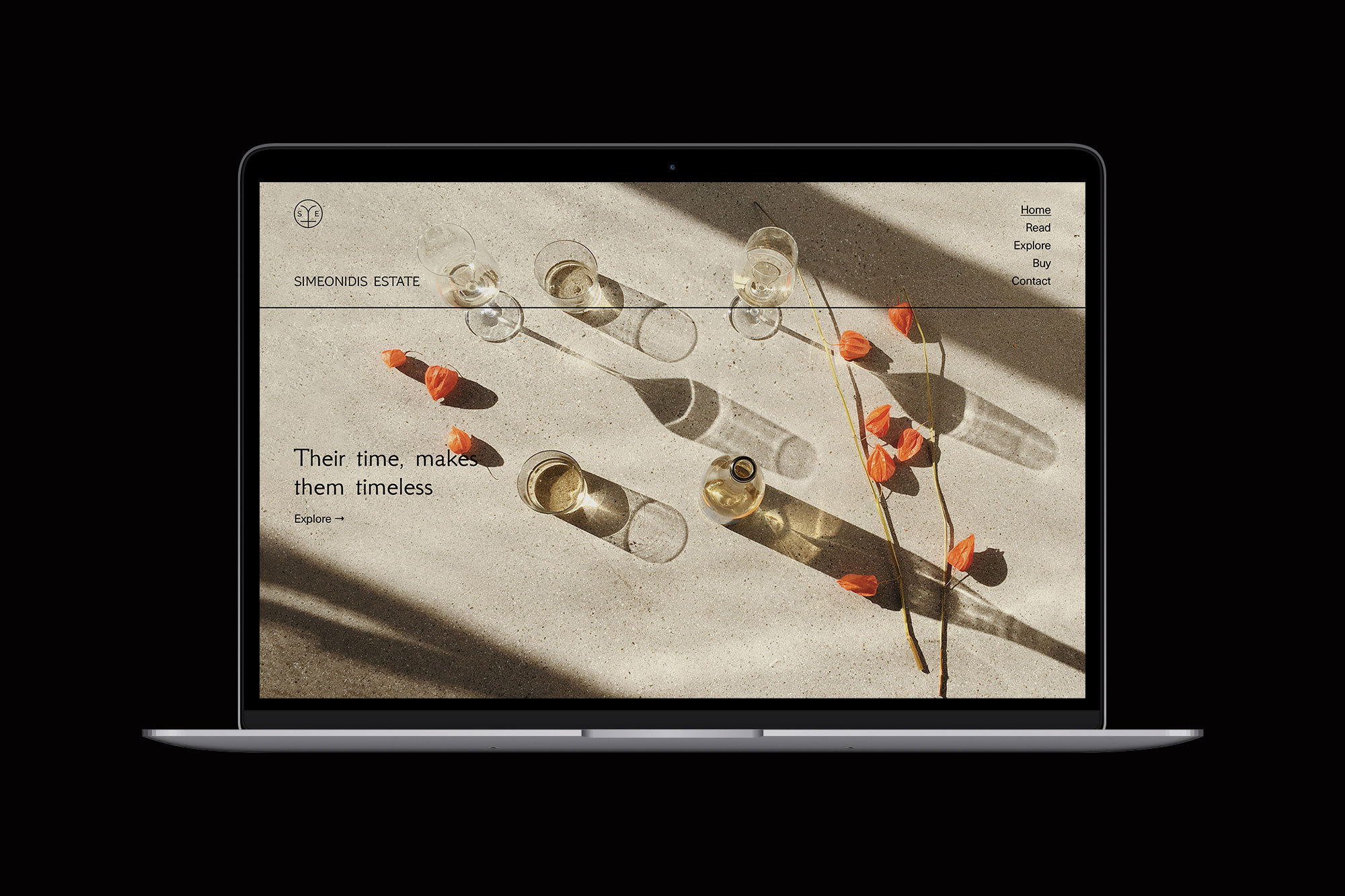 Website Design - Homepage